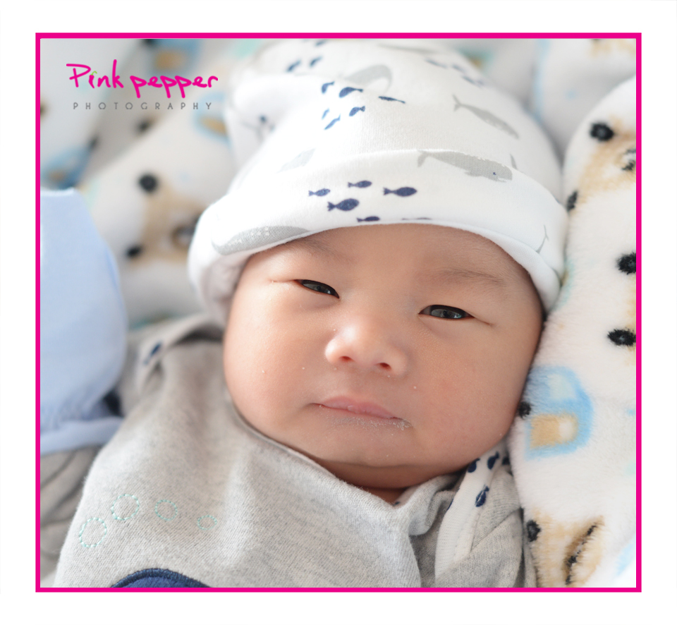 1550497500000-francis-sebastian--